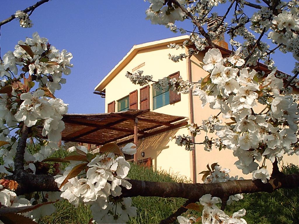 Podere Mazzana Apartment Marti Exterior photo